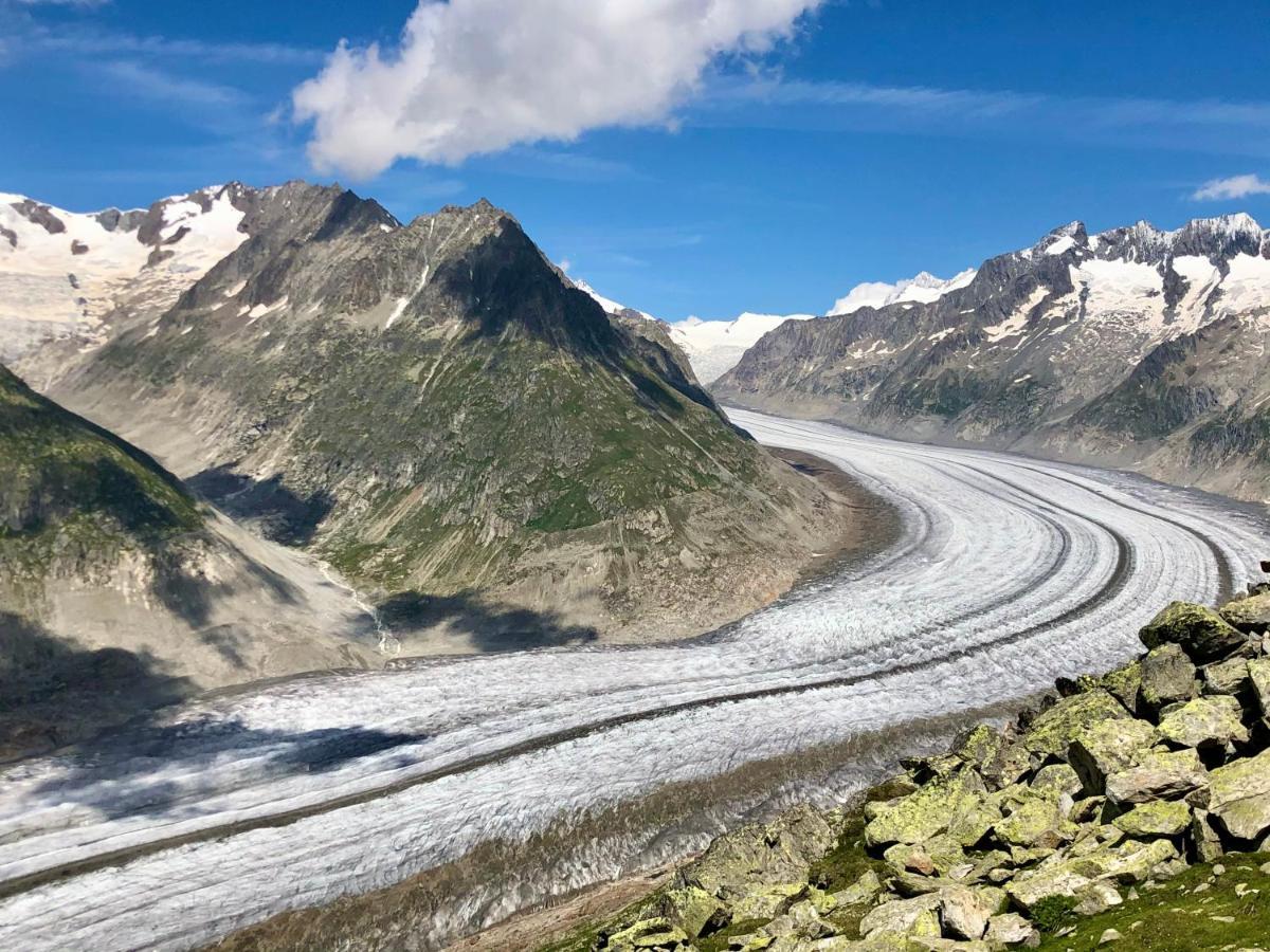 Perle Des Alpes, Bettmeralp, Switzerland Экстерьер фото