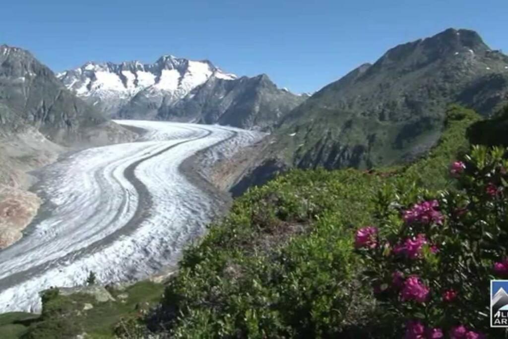 Perle Des Alpes, Bettmeralp, Switzerland Экстерьер фото